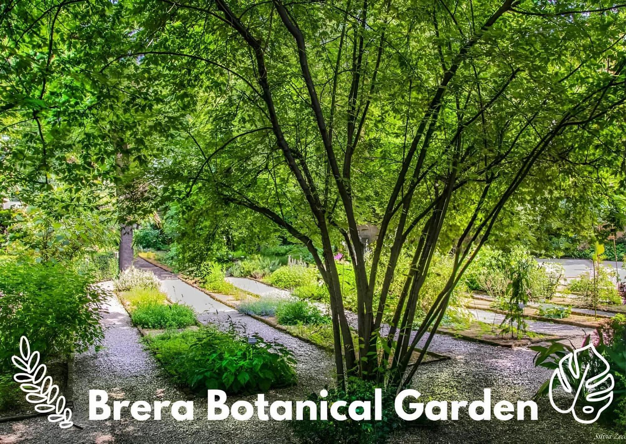 Apartmán Brera Vip Spotlight - Brera - Duomo - Castello Sforzesco - Lanza Metro M2 Milán Exteriér fotografie